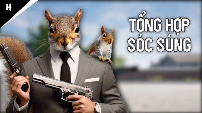 TỔNG HỢP SÓC SÚNG (Trong 1 Tiếng) | Squirrel with a Gun