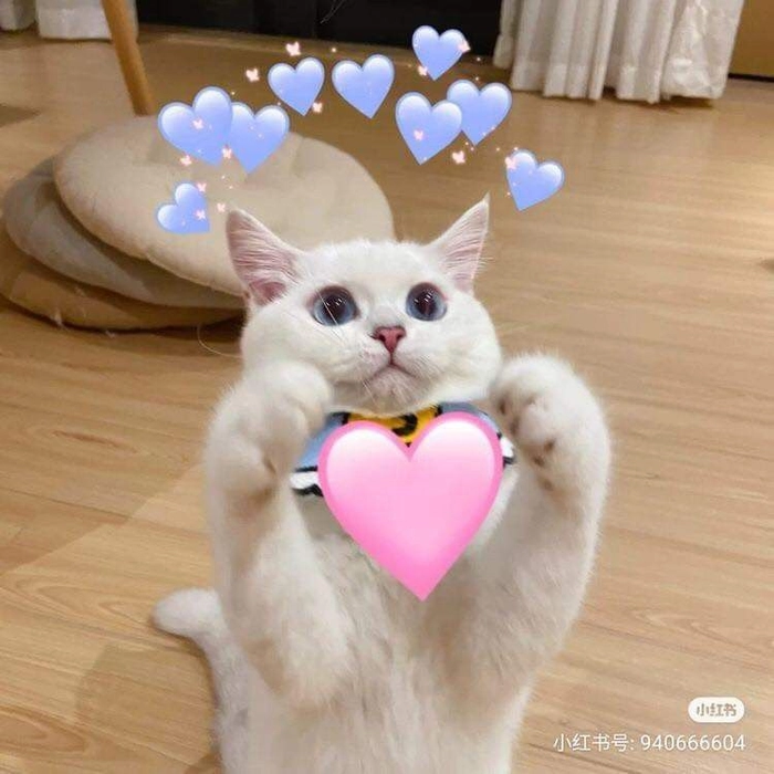 188+ Meme Thả Tim bắn tim bựa cute siêu đáng yêu