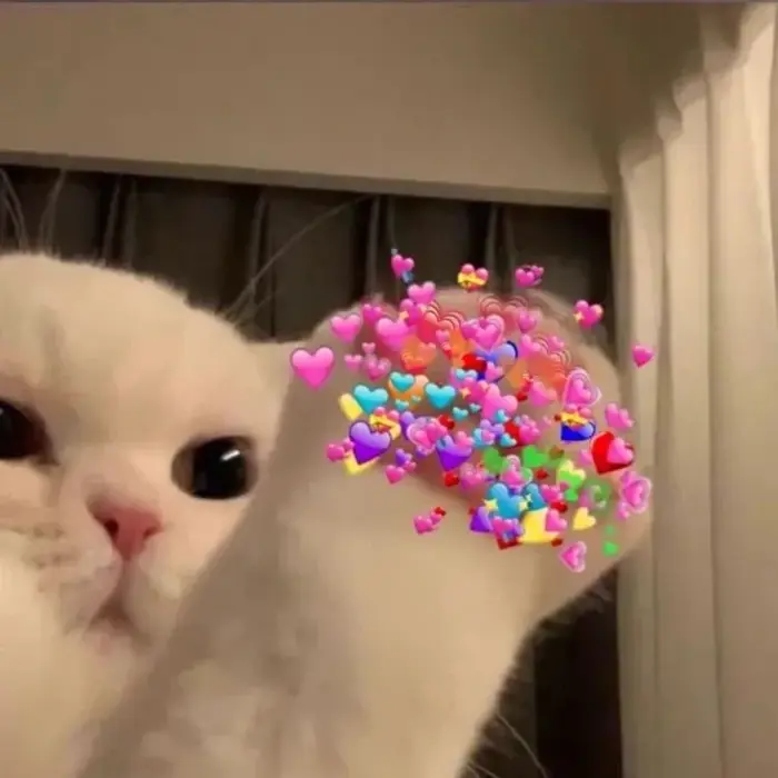 Bộ sưu tập ảnh meme bắn tim cực đẹp cho mọi tâm trạng