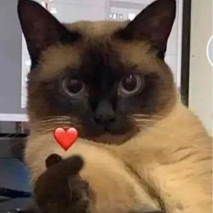 Ý nghĩa của meme bắn tim là gì? Cập nhật bộ meme thể hiện tình cảm siêu  đáng yêu và thu hút nhất
