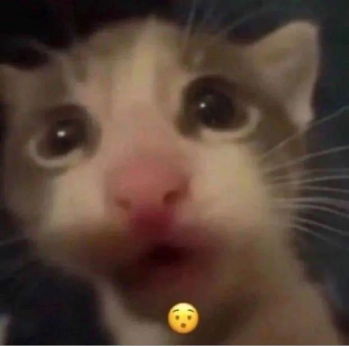 Tổng hợp meme bất ngờ hài hước, biểu cảm thú vị