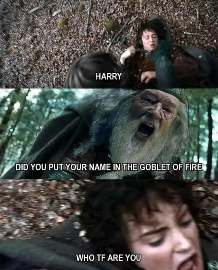 Gandalf hỏi một cách bình tĩnh. : r/lotrmemes