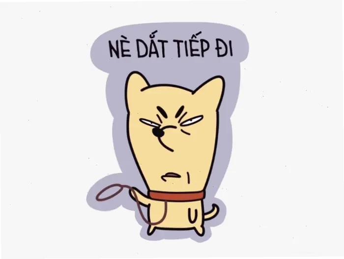 Khám phá thế giới ảnh chế meme: Cười thả ga với kho ảnh độc đáo 2026