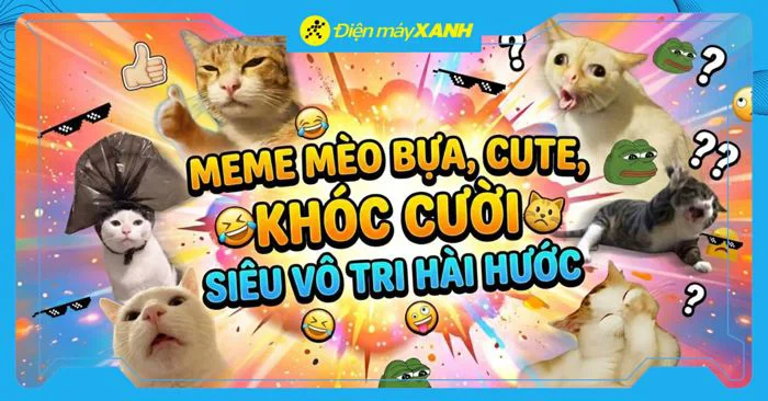 500+ meme mèo bựa, cute, khóc cười siêu vô tri hài hước cho các sen