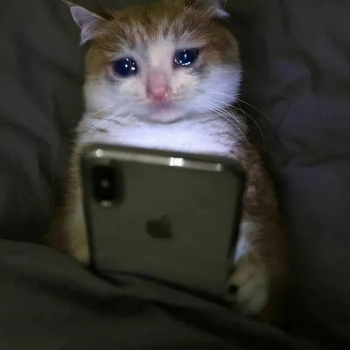 99.000+ Ảnh Meme Buồn 😿🐾💧, Mèo Buồn, Chảy Nước Mắt, Hài Hước, Cute