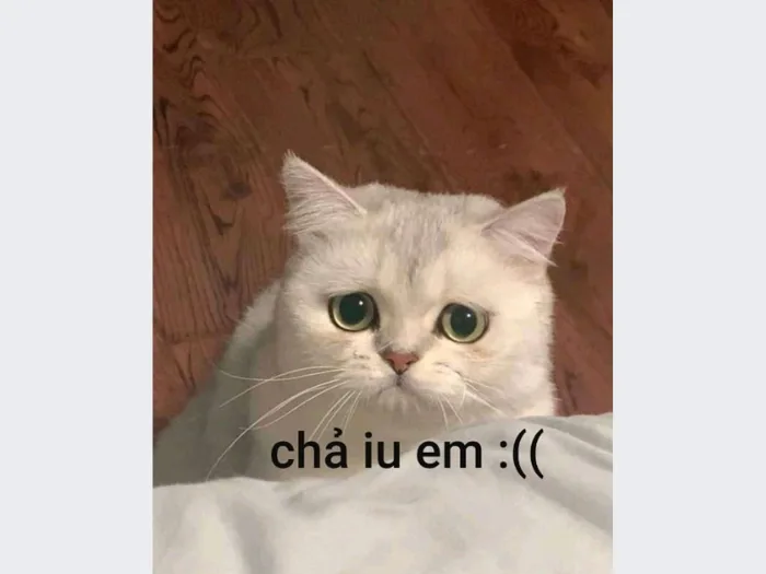 Tổng hợp 80+ meme buồn được sử dụng phổ biến trên mạng xã hội
