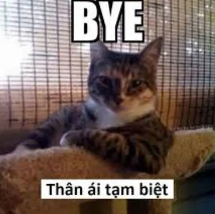 Trọn Bộ Sưu Tập Meme Tạm Biệt Dễ Thương, Hài Hước 2026