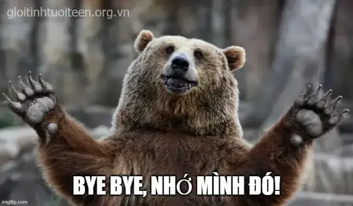 BST 70 Ảnh Meme Tạm Biệt độc lạ, hài hước cho khoảnh khắc chia tay rộn ràng  tiếng cười