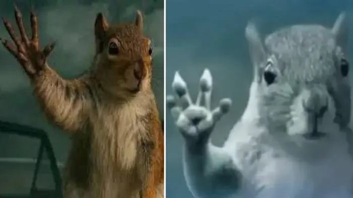 Squirrel Waving Bye In Tornado Meme Explained