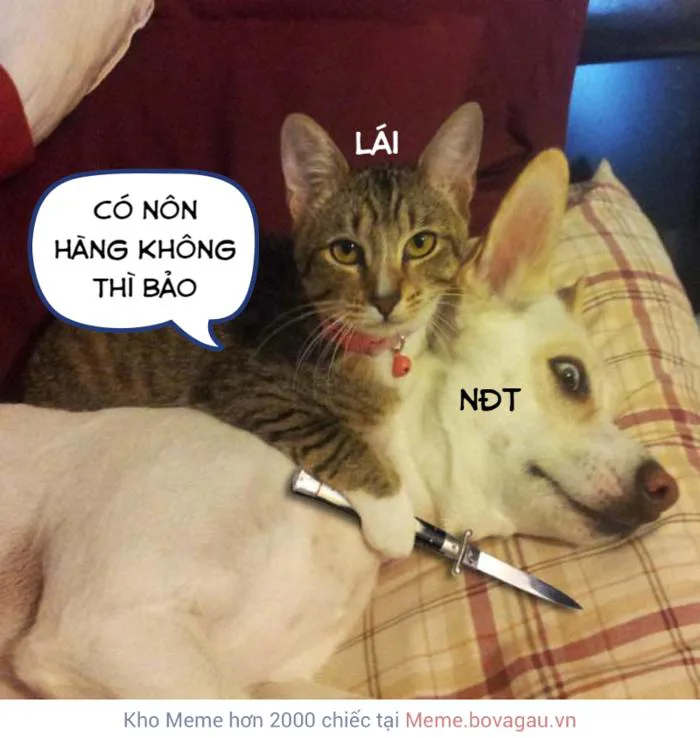 Tổng hợp meme dao kề cổ cực hài hước dành cho nhà đầu tư