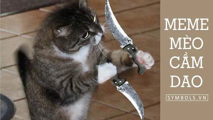 Meme Mèo Cầm Dao Bá Đạo [39+ Ảnh Chế Hài Hước Nhất]