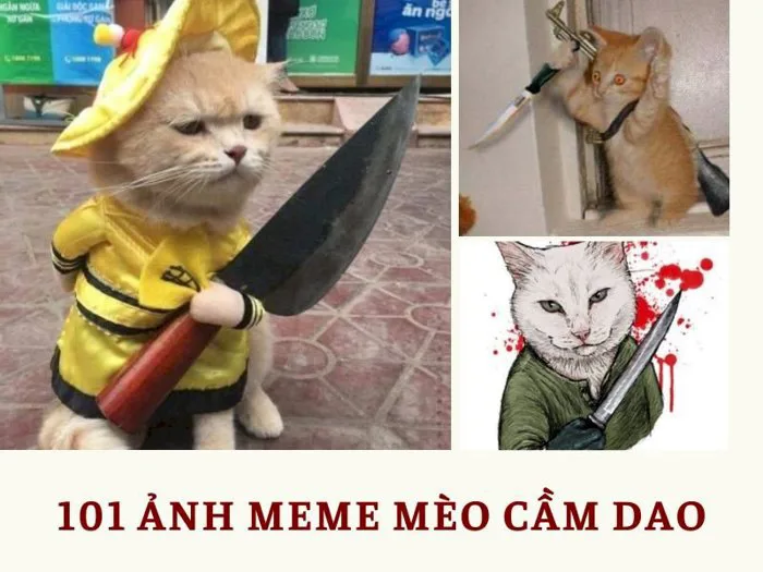 Top 101 ảnh meme mèo cầm dao hài hước, cute tải xuống miễn phí