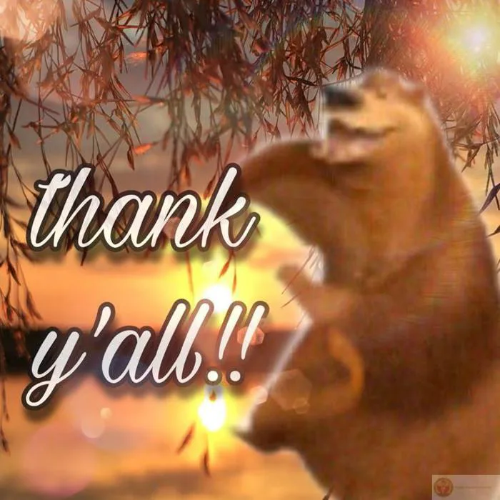 BST meme cảm ơn hài hước, ảnh chế thank you cute nhất