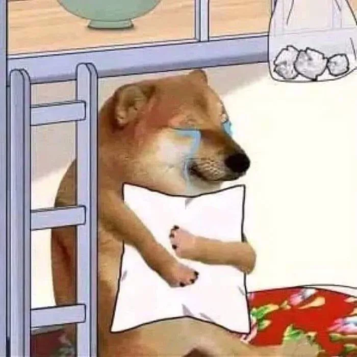 Chìm đắm trong cảm xúc cùng bộ sưu tập meme khóc thầm độc lạ 97+ -  hinhanhdep3d.com