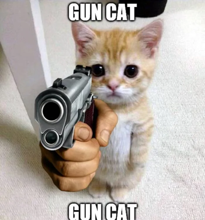 meme-cam-sung-1