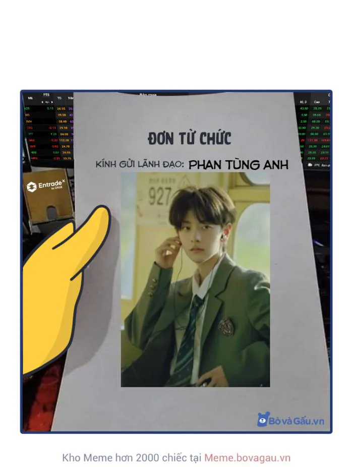 xin cáo từ wtf