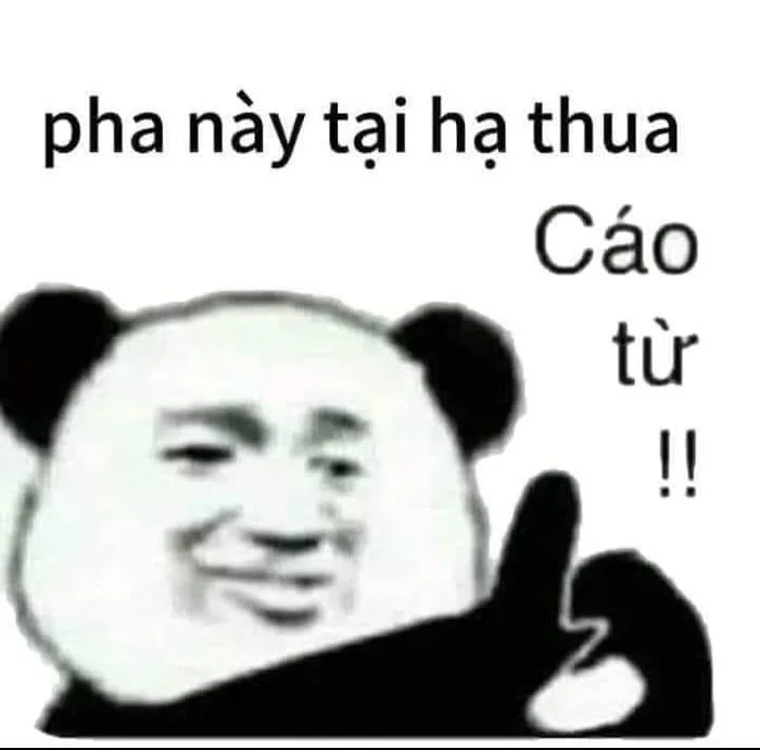 Gấu trúc ra hiệu dấu tay cáo từ 