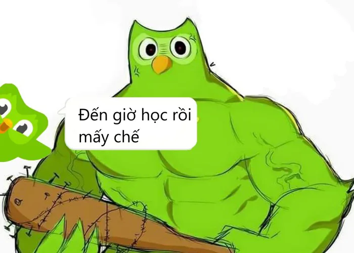 Meme học tập – TVMeme