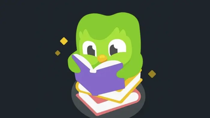 Bộ sưu tập ảnh Duolingo Meme khiến dân mạng phát cuồng