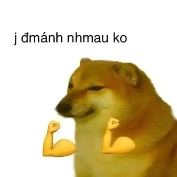 Tuyển Chọn 79+ Ảnh Cay Meme Đỉnh Cao Khiến Ai Cũng Phải Cười