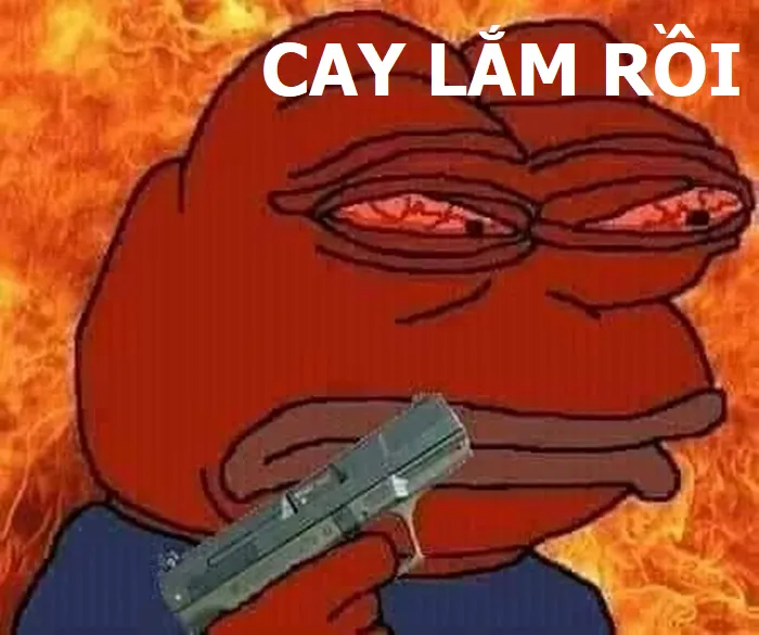 Story » 45 Meme Cay Cú hài hước thể hiện rõ tâm trạng 