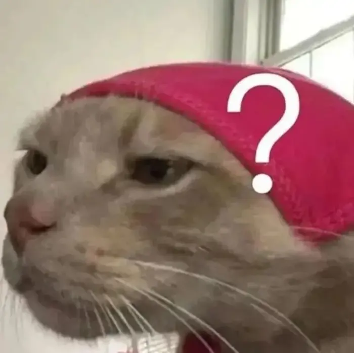 BST 100+ Ảnh Meme Hỏi Chấm Khi Bạn Không Hiểu Chuyện Gì