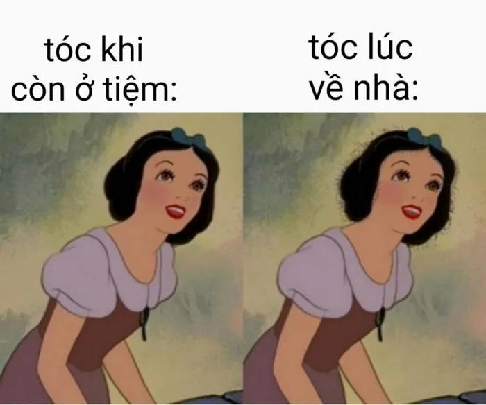 15+ ảnh meme chê cực thú vị dành cho những ai yêu thích thế giới meme vui  nhộn