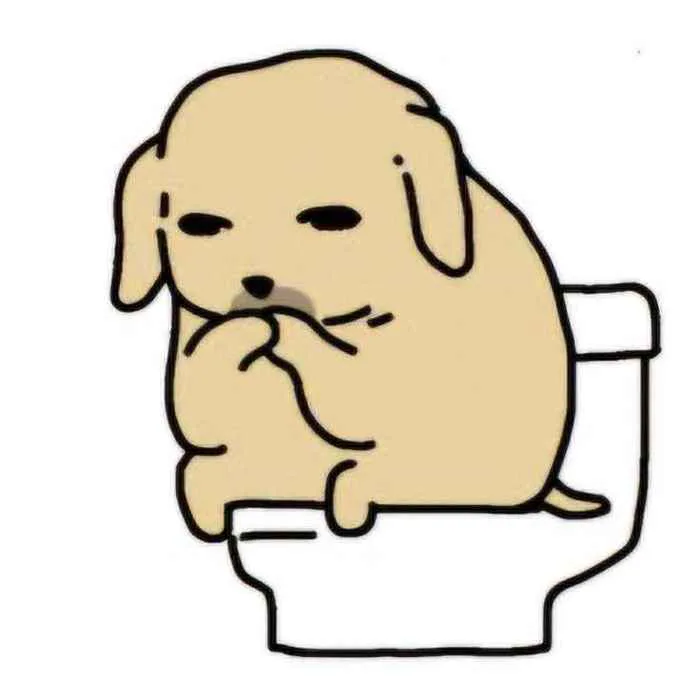 505+ Meme Chó Cute Với Những Khoảnh Khắc Vui Vẻ Đáng Yêu - Thưởng Thức Âm  Nhạc Hello - Trung Tâm Hello