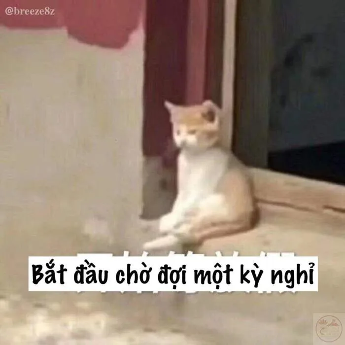 Meme Chờ Đợi ⏳ Tổng Hợp Ảnh Chế Chờ Đợi Hài Hước