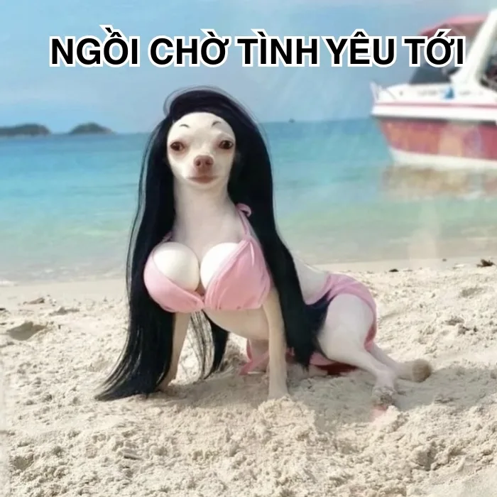 TOP 95+ Meme Chờ Đợi Đỉnh Cao Cho Những Ngày Dài Mong Ngóng