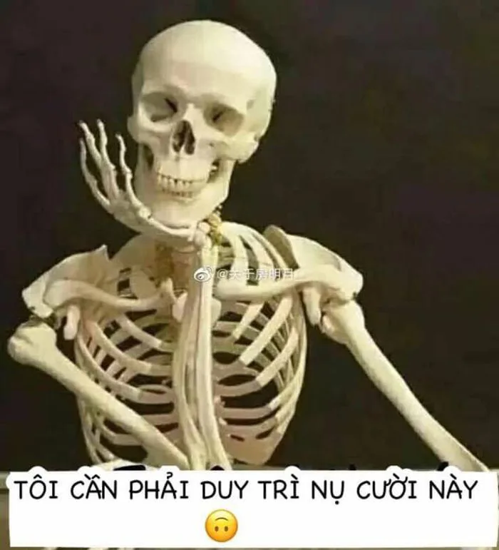 Chuyện cười | Ảnh vui, Meme, Mệt mỏi