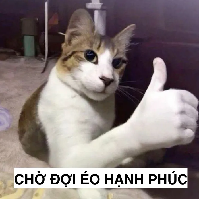 TOP 95+ Meme Chờ Đợi Đỉnh Cao Cho Những Ngày Dài Mong Ngóng