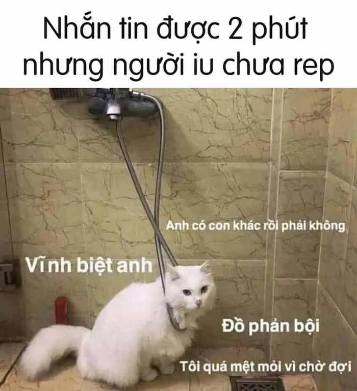 Meme Chờ Đợi Siêu Hài [Ảnh Meme Bộ Xương Chờ Đợi]