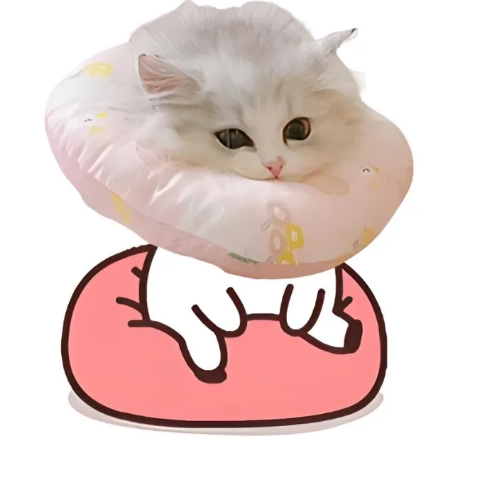 TOP 95+ Meme Chờ Đợi Đỉnh Cao Cho Những Ngày Dài Mong Ngóng