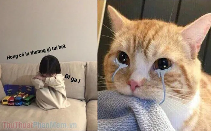 Tổng hợp bộ sưu tập Meme dỗi vui nhộn, đáng yêu