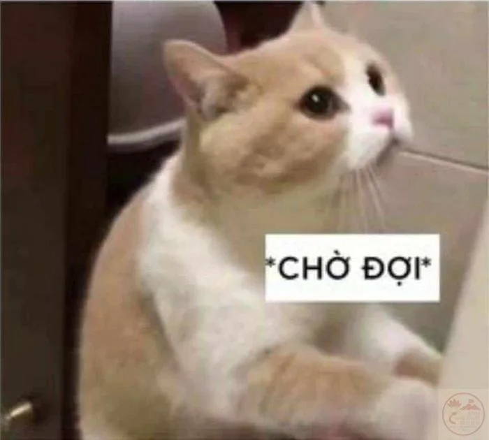 Meme Chờ Đợi ⏳ Tổng Hợp Ảnh Chế Chờ Đợi Hài Hước