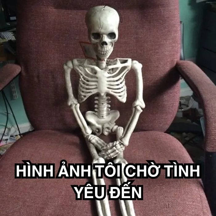 TOP 95+ Meme Chờ Đợi Đỉnh Cao Cho Những Ngày Dài Mong Ngóng