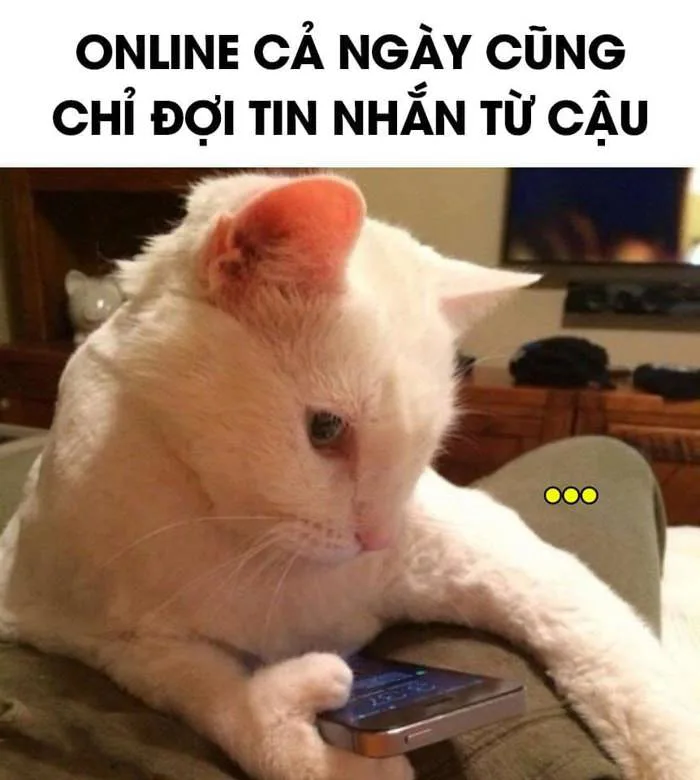 Meme Chờ Đợi Siêu Hài [Ảnh Meme Bộ Xương Chờ Đợi]