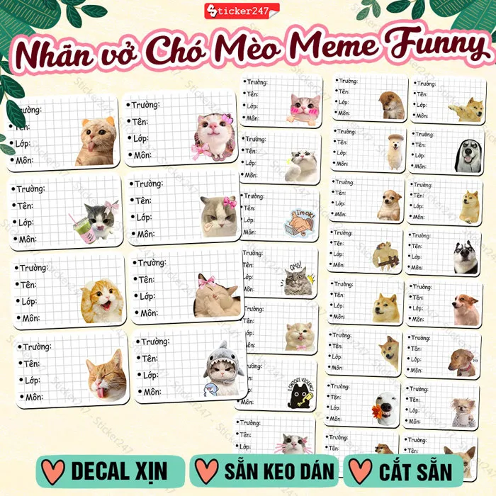 Nhãn Vở Chó Mèo Meme Funny 🌈𝑭𝒓𝒆𝒆𝒔𝒉𝒊𝒑 Nhãn Vở, Giấy Nhãn Cute Dog  Cat Hot Trend, Nhãn Vở Đơn Giản Thiết Kế Dễ Thương