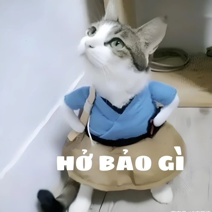 127+ ảnh meme chống nạnh bất lực cute hài hước nhất