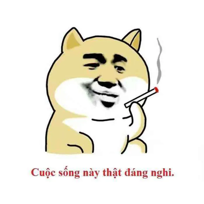 508+ Meme Chống Nạnh Hài Hước Với Biểu Cảm Khó Đỡ - Thưởng Thức Âm Nhạc  Hello - Trung Tâm Hello
