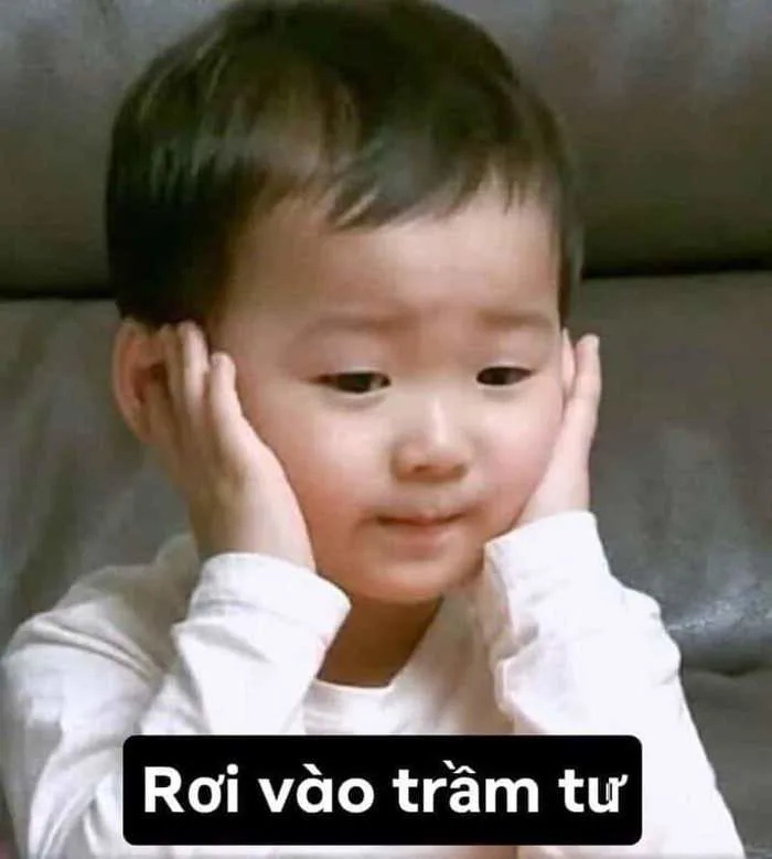 Meme Bất Lực, Bất Ổn Siêu Bựa [100+ Ảnh Bất Lực Hài Hước]