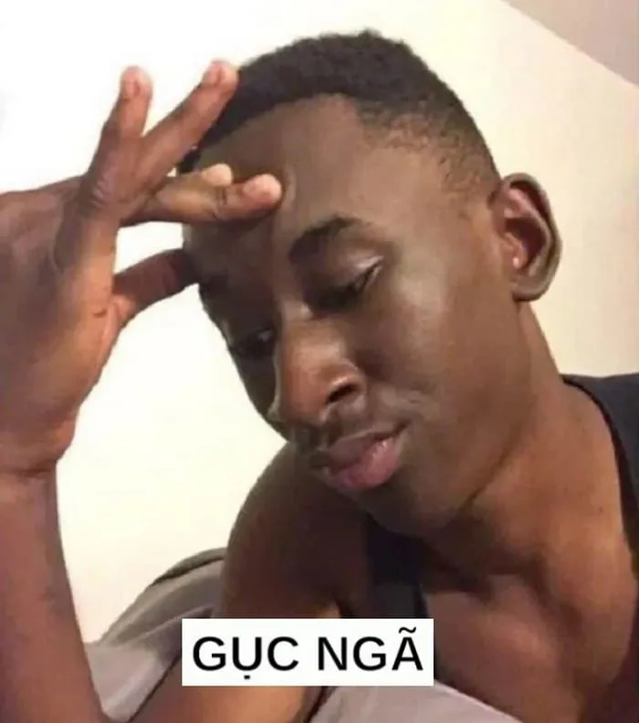 Meme Bất Lực, Bất Ổn Siêu Bựa [100+ Ảnh Bất Lực Hài Hước]