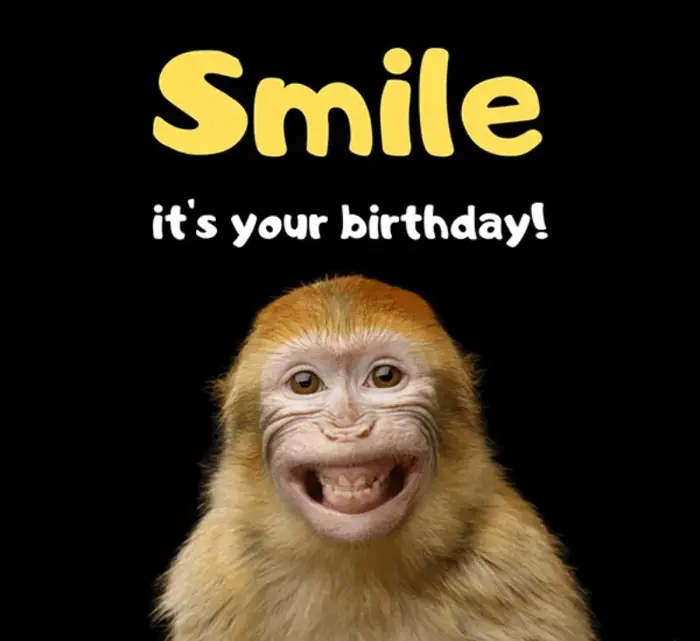 99+ Meme chúc mừng sinh nhật hài hước - Mẫu bánh troll