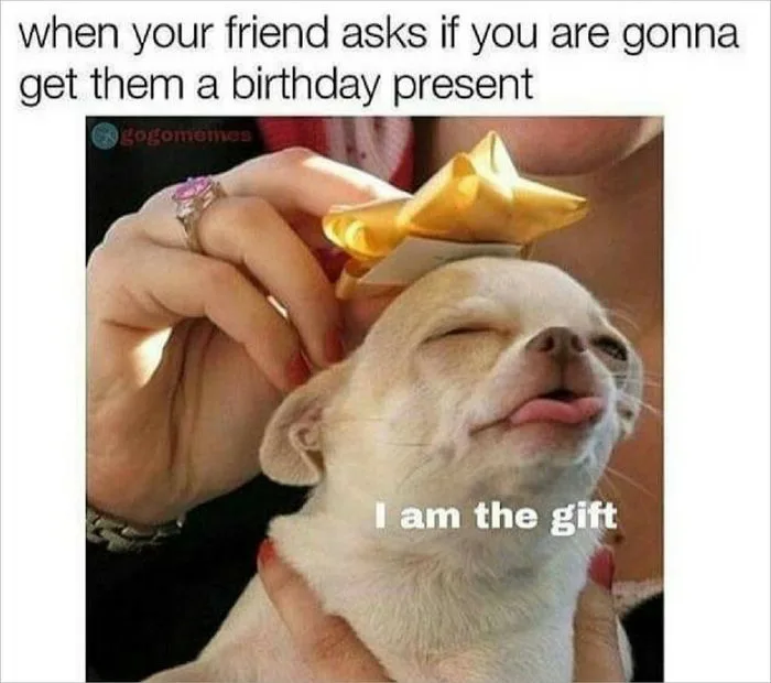 Bộ sưu tập meme chúc mừng sinh nhật đầy hài hước, vui nhộn và đậm chất lầy  lội
