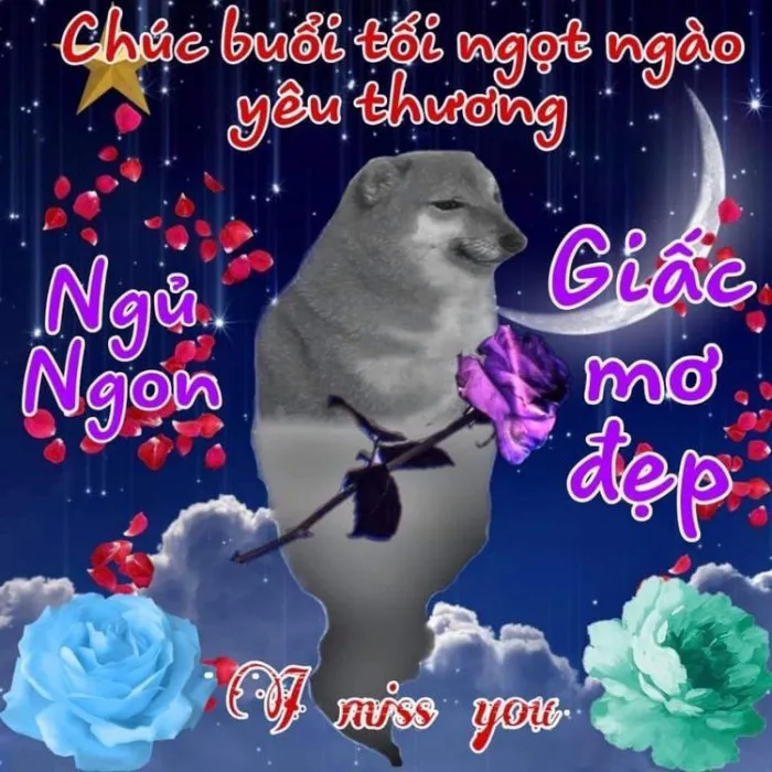 Trọn bộ 137+ meme chúc ngủ ngon cực hài hước và dễ thương -  avatarcute.edu.vn