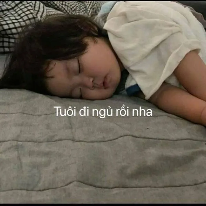 Tổng hợp những meme chúc ngủ ngon hài hước, siêu dễ thương