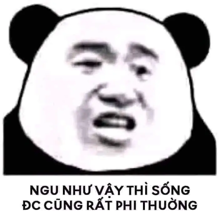 Tổng hợp 99+ Meme Chửi Ngu Cực Thấm, Ảnh Chế Kém Thông Minh