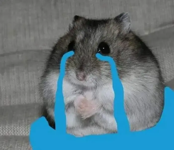 40+ Meme Chuột Khóc Lóc cực dễ thương vừa hài hước vừa đáng yêu