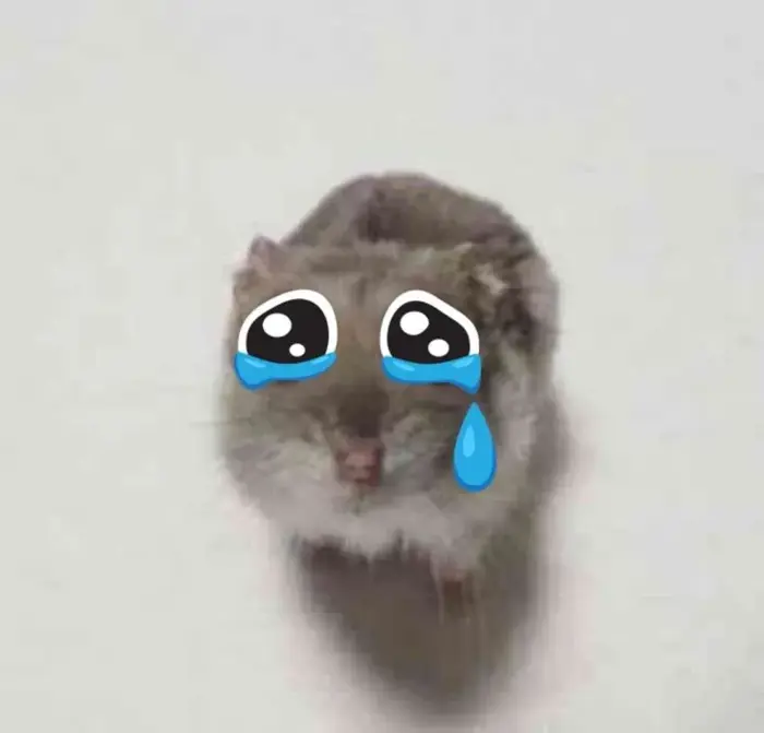 40+ Meme Chuột Khóc Lóc cực dễ thương vừa hài hước vừa đáng yêu